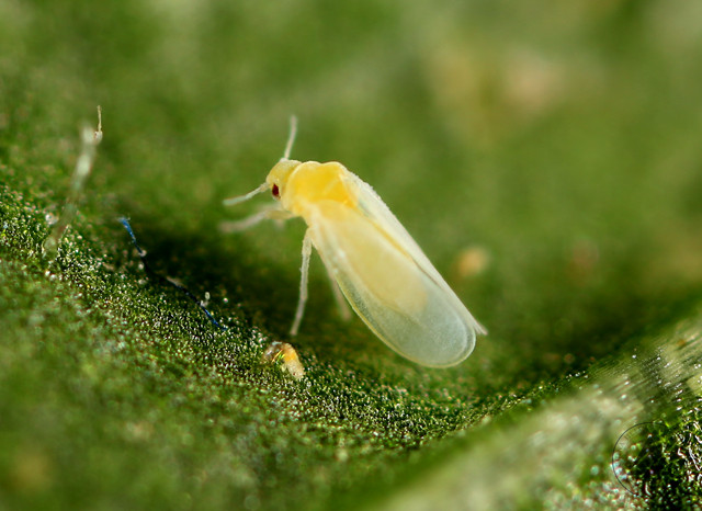 1553570331180.jpg 微信圖片_20190326110838.jpg