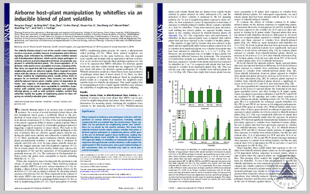 1553570314138.jpg NeoImage_副本1.jpg